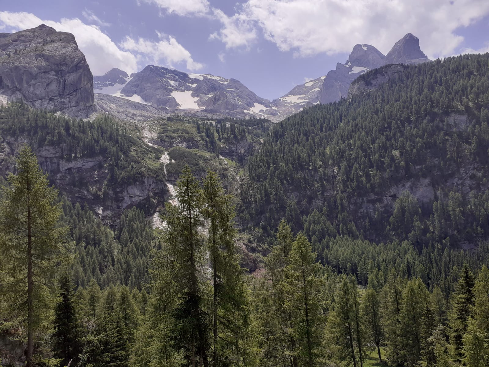 Paesaggio alpino con cime innevate e boschi di abeti nelle Dolomiti, Trentino Alto Adige, Italia