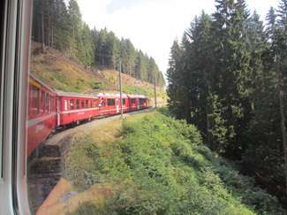 Andare sul  Trenino rosso del Bernina significa attraversare splendidi paesaggi alpini, qui passa in mezzo ad un bosco